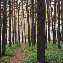 Центр отдыха Каштакский бор, Челябинск, Челябинская область