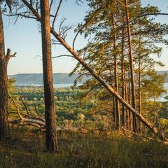 База отдыха Мастрюки, Красноярский район, Самарская область