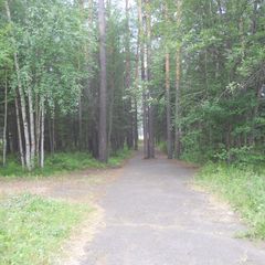 База отдыха Лосенок, Усть-Илимский район, Иркутская область