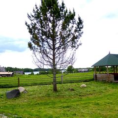 Гостиничный комплекс Каменный Бор, Вашкинский район, Вологодская область