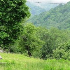 Шале Дрозды, Майкопский район, Республика Адыгея
