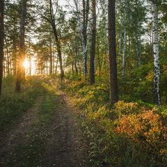 База отдыха Мастрюки, Красноярский район, Самарская область