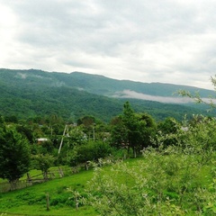 Шале Дрозды, Майкопский район, Республика Адыгея