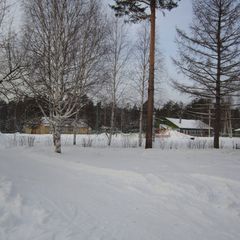 База отдыха Лосенок, Усть-Илимский район, Иркутская область