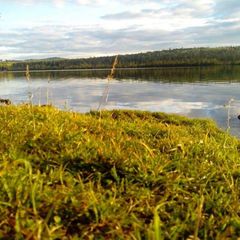 База отдыха Лосенок, Усть-Илимский район, Иркутская область