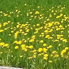 База отдыха Лосенок, Усть-Илимский район, Иркутская область