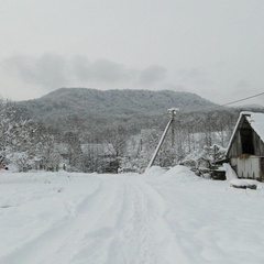 Шале Дрозды, Майкопский район, Республика Адыгея