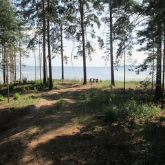 База отдыха Юркинский мыс, Сокольский район, Нижегородская область