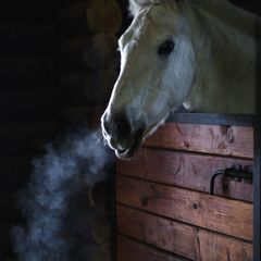 База отдыха Гринландия, Северский район, Краснодарский край