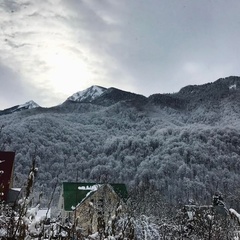 Гостевой дом Лукоморье, Сочи, Краснодарский край