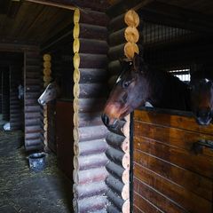 База отдыха Гринландия, Северский район, Краснодарский край