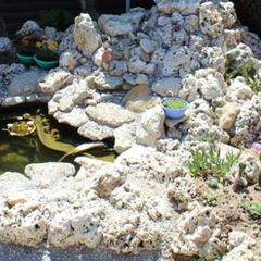 Гостевой дом Жемчужина, Евпатория, Крым
