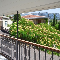 Гостевой дом Эдем (село Солнечногорское, Алушта, Крым), Судак, Крым