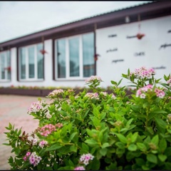 База отдыха  База отдыха Park-Hotel «Сойкино» , Ломоносовский район, Ленинградская область