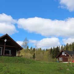 Коттедж Филина Гора, Лахденпохский район, Республика Карелия