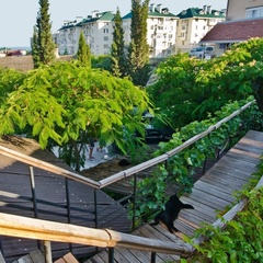 Гостевой дом Эдем (село Солнечногорское, Алушта, Крым), Судак, Крым