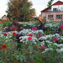 Рыболовно-охотничья база Золотые барханы, Енотаевский район, Астраханская область