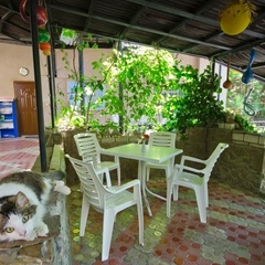 Гостевой дом Эдем (село Солнечногорское, Алушта, Крым), Судак, Крым