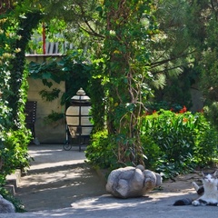 Гостевой дом Эдем (село Солнечногорское, Алушта, Крым), Судак, Крым