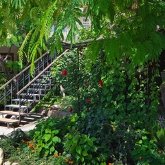 Гостевой дом Эдем (село Солнечногорское, Алушта, Крым), Судак, Крым