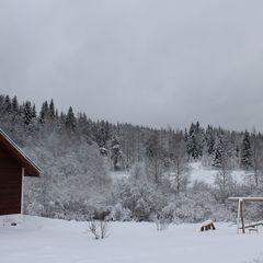 Коттедж Филина Гора, Лахденпохский район, Республика Карелия