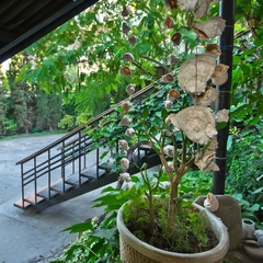 Гостевой дом Эдем (село Солнечногорское, Алушта, Крым), Судак, Крым