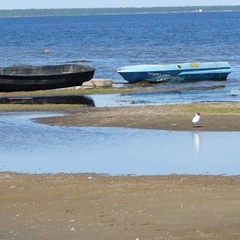 База отдыха Россич, Читинский район, Забайкальский край