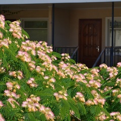 Гостевой дом Эдем (село Солнечногорское, Алушта, Крым), Судак, Крым