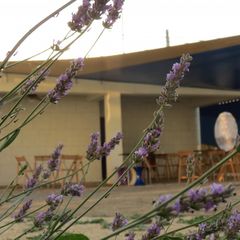 Гостиница ДонузLOVE, Евпатория, Крым