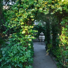 Гостевой дом Эдем (село Солнечногорское, Алушта, Крым), Судак, Крым