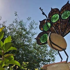 Гостевой дом Эдем (село Солнечногорское, Алушта, Крым), Судак, Крым