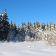 Коттедж Филина Гора, Лахденпохский район, Республика Карелия