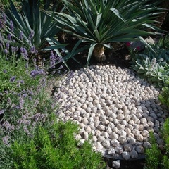 Гостевой дом Эдем (село Солнечногорское, Алушта, Крым), Судак, Крым