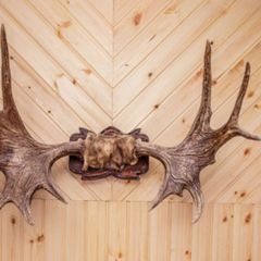 Гостиница Русский Север, Салехард, Ямало-Ненецкий автономный округ