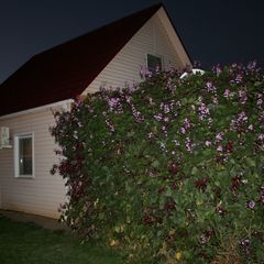 Рыболовно-охотничья база Fishing30, Ахтубинский район, Астраханская область