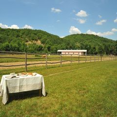 База отдыха Поляна Убинская, Северский район, Краснодарский край