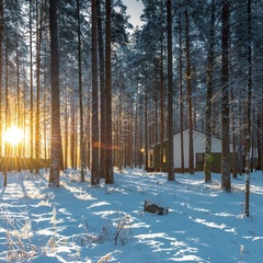 База отдыха Eco Village, Приозерский район, Ленинградская область