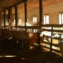 Центр активного отдыха Северная Надежда, Нейский район, Костромская область