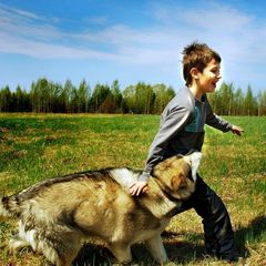 Центр активного отдыха Северная Надежда, Нейский район, Костромская область