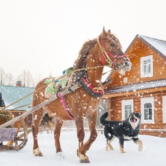 База отдыха Старый Сиг, Осташковский район, Тверская область