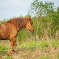 База отдыха Старый Сиг, Осташковский район, Тверская область