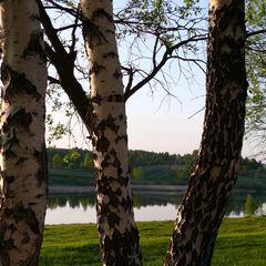 База отдыха  Гостевой дом «Другая жизнь» , Дмитровский район, Орловская область