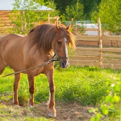 База отдыха Старый Сиг, Осташковский район, Тверская область