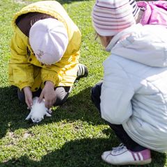 База отдыха  Гостевой дом «Другая жизнь» , Дмитровский район, Орловская область