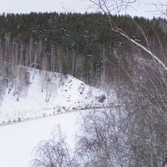 Парк-отель Ровесник, Каменский район, Свердловская область