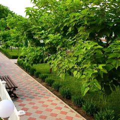 Гостиничный комплекс Верано, Изобильненский район, Ставропольский край