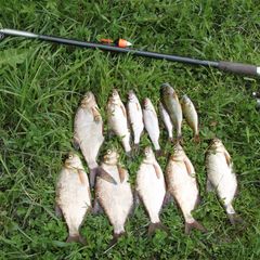 Гостевое подворье Кудеверь, Бежаницкий район, Псковская область