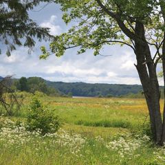 Гостевое подворье Кудеверь, Бежаницкий район, Псковская область