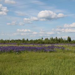 Гостевое подворье Кудеверь, Бежаницкий район, Псковская область