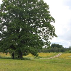 Гостевое подворье Кудеверь, Бежаницкий район, Псковская область